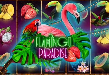 Flamingo Paradise