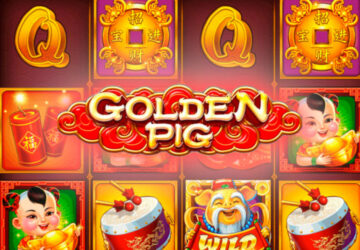 Golden Pig