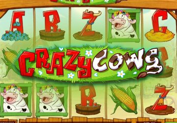 Crazy Cows